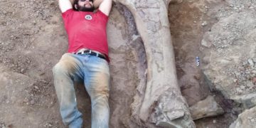 Pesquisadores investigam origem de imenso fóssil encontrado no Maranhão