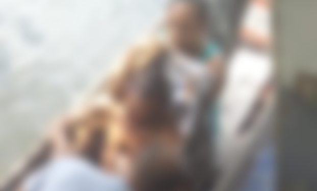 Após lutar com onça-pintada, idoso tem o rosto parcialmente desfigurando no Pará