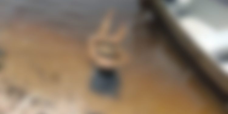 Adolescente é encontrada morta em lago da Zona Leste de Manaus