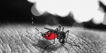 Ministério da Saúde aponta aumento do número de casos em 2022 Data de publicação: 23 de Março de 2022, 08:2925h