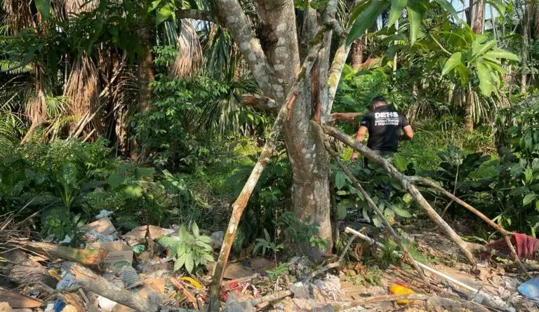 Urgente: mulher tem corpo carbonizado em matagal no Santa Etelvina; imagens fortes