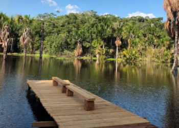 MPF entra com ação contra loteamento clandestino Paraíso dos Lagos, em Manaus