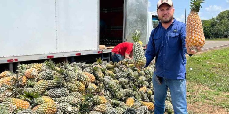 Governo do Amazonas adquire 120 toneladas de alimentos da agricultura familiar durante ação emergencial