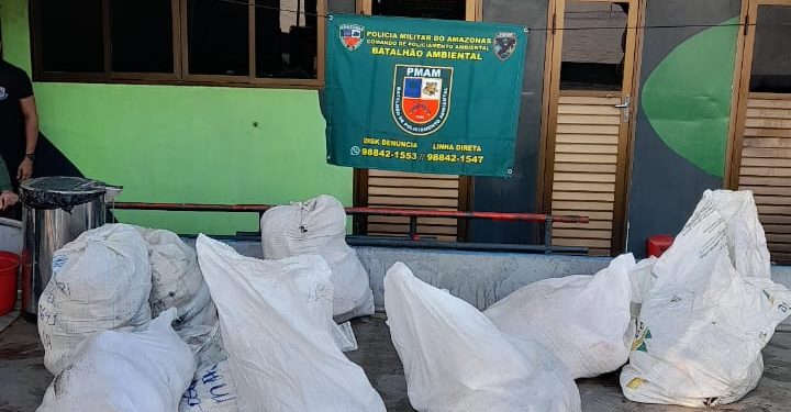 SSP-AM apreende mais de 600 quilos de pescado ilegal e carne de animal silvestre em Coari