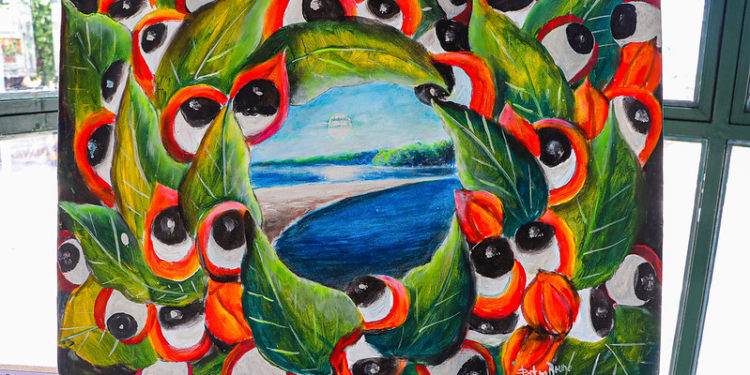 Exposição ‘Vida e Cores’ apoiada pela Prefeitura de Manaus retrata diversidade da Amazônia