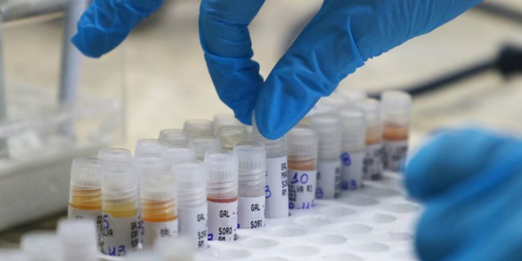 Saúde emite boletins da Covid-19, Mpox e vacinação nesta terça-feira