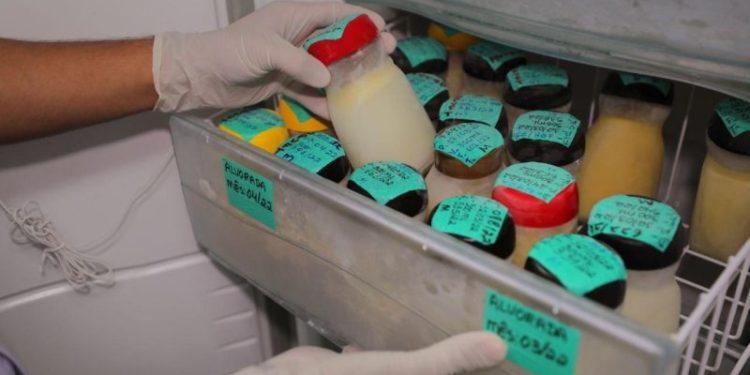 Maternidade Balbina Mestrinho realiza Campanha Natalina de Doação de Leite