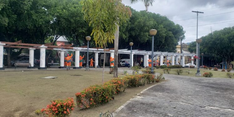 Prefeitura realiza serviço de poda artística e arborização nos canteiros da cidade
