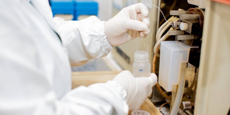 Pesquisa desenvolve melhoramento genético para contribuir na qualidade de sementes e frutos amazônicos&nbsp;