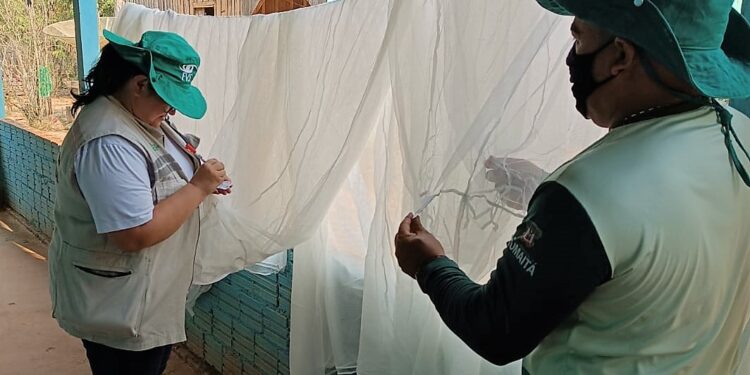 Malária: Amazonas fecha 2022 com menor número de casos da doença dos últimos quatro anos