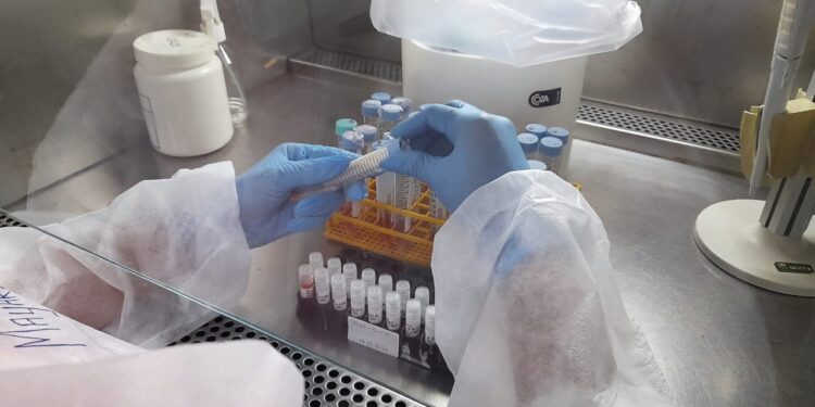 Saúde atualiza cenários epidemiológicos da Covid-19, Mpox e vacinação neste domingo
