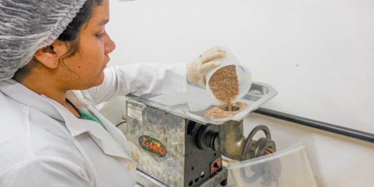 Pesquisa apoiada pelo Governo do Amazonas capacita sobre manejo alimentar de quelônios