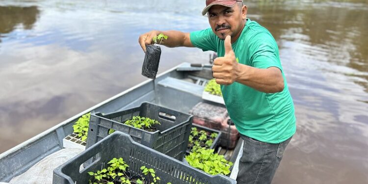 Prefeitura de Manaus em parceria com ONG fomenta a agricultura familiar na comunidade União e Progresso