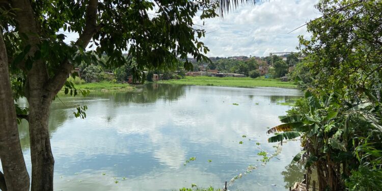 Lagoa no Parque São Pedro ganha estudos arquitetônicos da Prefeitura de Manaus&nbsp;