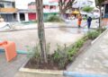 Prefeitura de Manaus realiza limpeza na praça Rosa Dourado no São José 3