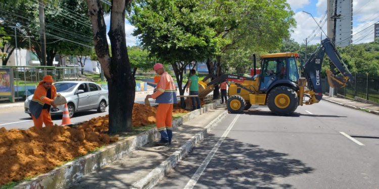 Canteiro central das avenidas Darcy Vargas e Ephigênio Salles recebem serviços da prefeitura