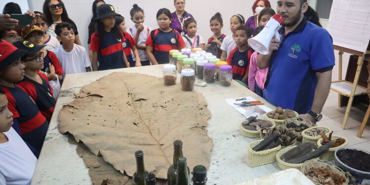 Alunos da escola municipal Divino Pimenta participam de ação do projeto Academia Ambiental no Instituto Soka Amazônia
