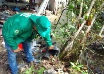 Dengue: Informe epidemiológico divulga cenário da doença no Amazonas nesta quinta-feira