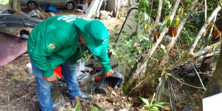 Dengue: Informe epidemiológico divulga cenário da doença no Amazonas nesta quinta-feira